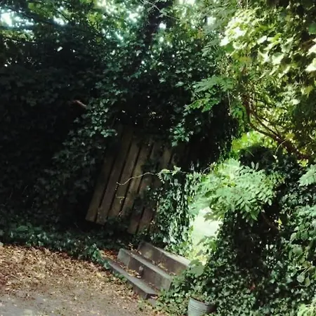 Bed & Breakfast Greenbrook - Blue Lounge 3*