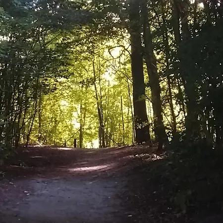 Greenbrook - Blue Lounge